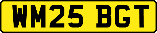 WM25BGT
