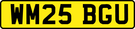 WM25BGU