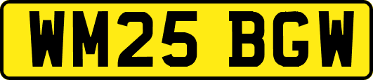 WM25BGW