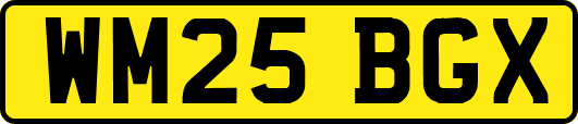 WM25BGX