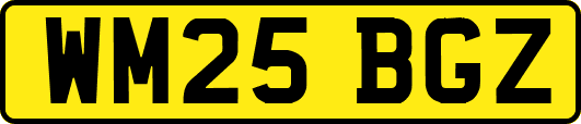 WM25BGZ