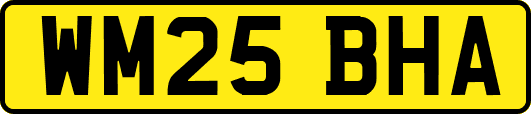 WM25BHA