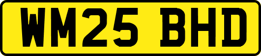 WM25BHD