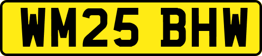 WM25BHW