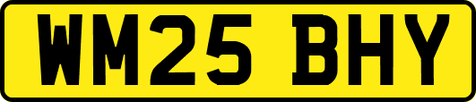 WM25BHY