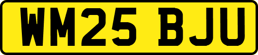 WM25BJU