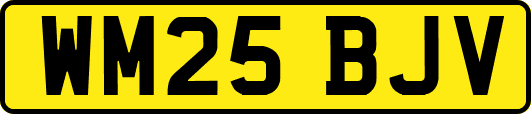 WM25BJV