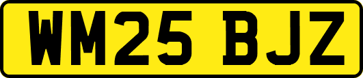 WM25BJZ