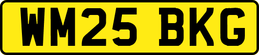 WM25BKG