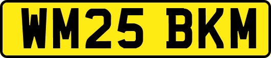 WM25BKM