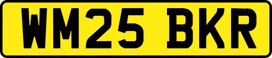 WM25BKR