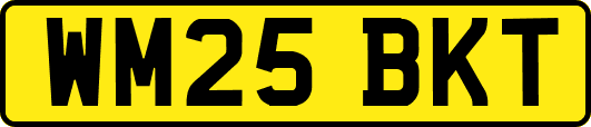 WM25BKT