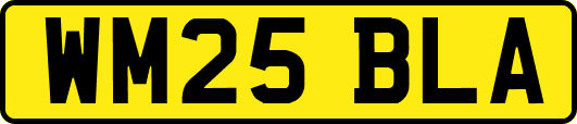 WM25BLA