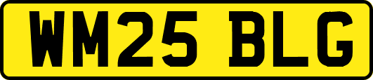 WM25BLG