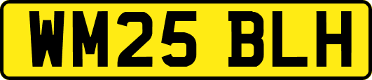 WM25BLH