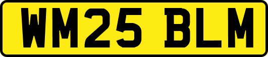 WM25BLM