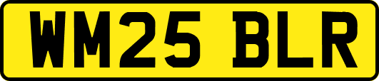 WM25BLR