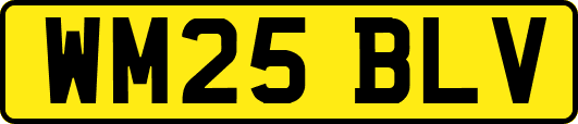 WM25BLV