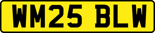 WM25BLW