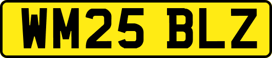 WM25BLZ