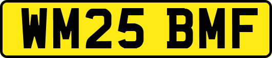 WM25BMF