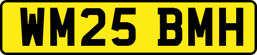 WM25BMH
