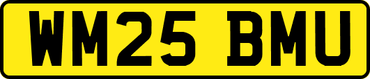 WM25BMU