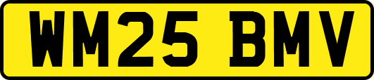 WM25BMV