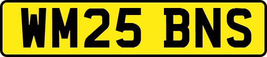 WM25BNS