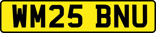 WM25BNU
