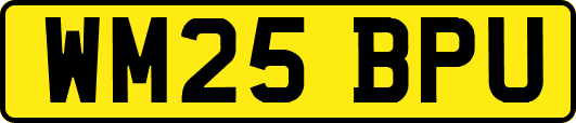 WM25BPU
