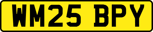 WM25BPY