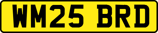 WM25BRD