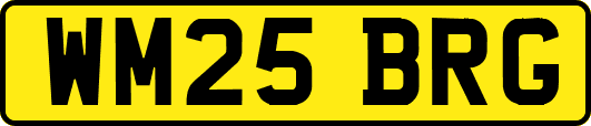 WM25BRG