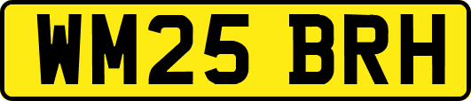 WM25BRH