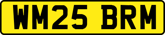 WM25BRM