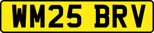 WM25BRV
