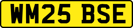 WM25BSE