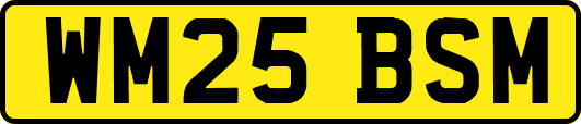 WM25BSM