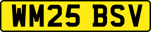 WM25BSV