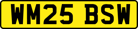WM25BSW