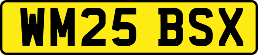 WM25BSX