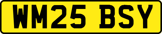 WM25BSY