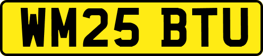 WM25BTU