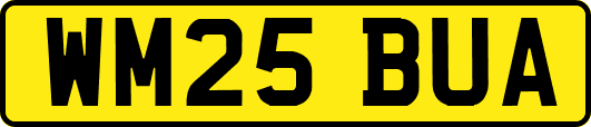WM25BUA