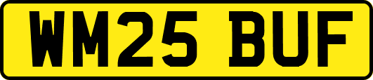 WM25BUF
