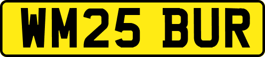 WM25BUR