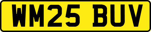 WM25BUV