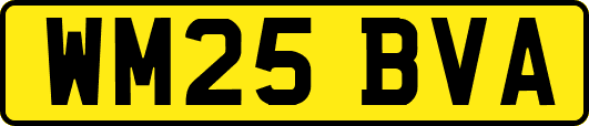 WM25BVA