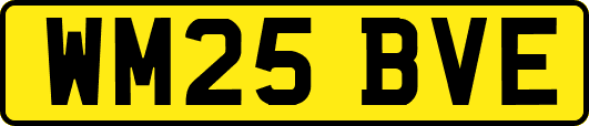 WM25BVE